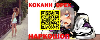 стаф Моздок
