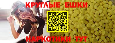 стаф Моздок