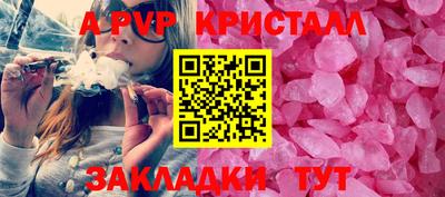крисы Нальчик