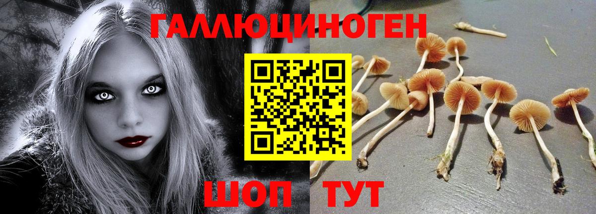 Псилоцибиновые грибы прущие грибы  Вход с VPN  Верхняя Салда 